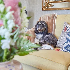 Host & - The Beach House Marske-by-the-Sea